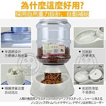 【🐱🐶培菓寵物48H出貨🐰🐹】DYY》寵物專用大容量吃飽飽自動餵食器｜飲水器-3.5L(顏色隨機)特價199元蝦