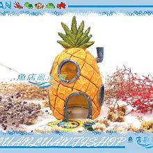 【魚店亂亂賣】美國PENNPLAX鳳梨屋-巨型(10.5 x 10 x 19cm)海綿寶寶的家授權販售SBR41