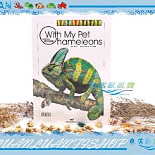 【~魚店亂亂賣~】德河TMBIO威智出版With My Pet Chameleons我與我的寵物變色龍(爬蟲彩圖工具書)