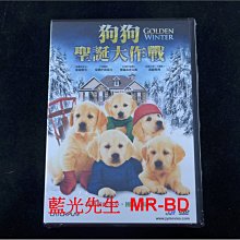 [DVD] - 狗狗聖誕大作戰 Golden Winter (台灣正版)