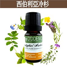 【西伯利亞冷杉純精油10ml】優質單方純精油系列《歐丹尼》Fir Needle Siberian