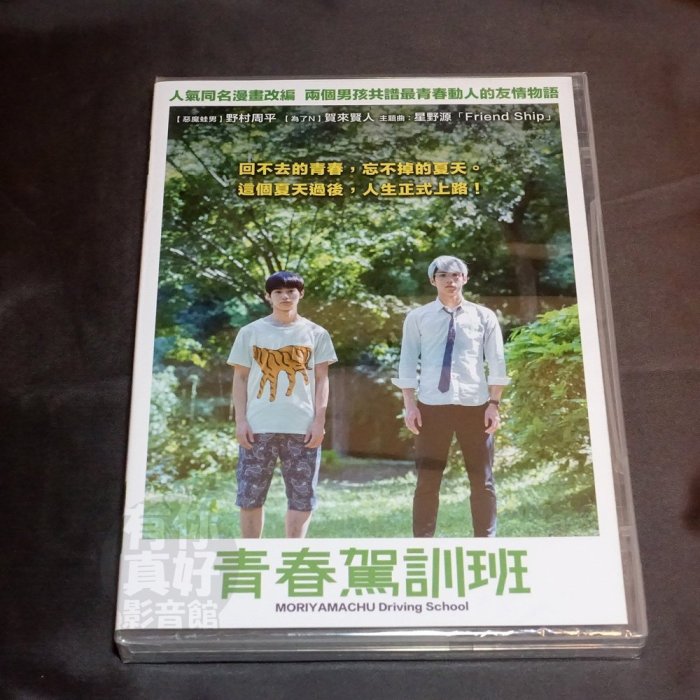 全新日影《青春駕訓班》DVD 豐島圭介 野村周平【惡魔蛙男】 賀來賢人【為了N】