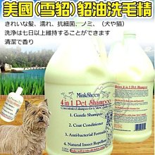 【🐱🐶培菓寵物48H出貨🐰🐹】美國雪貂貂油洗毛精‧1加侖 特價1880元