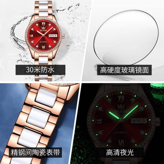 【6637】明星代言歐利時品牌手錶女全自動機械錶女士手錶小眾