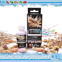 【魚店亂亂賣】紅海 垃圾海葵清除劑60ml 以色列Red SeaAIPTASIA-X海水珊瑚R22521