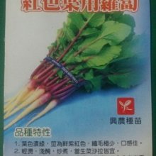 【野菜部屋~】I29 紅骨葉蘿蔔種子3.9公克 ,莖為紫紅色 ,口感佳 ,每包15元~