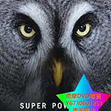 DVD 專賣 超能貓頭鷹/自然世界：揭秘貓頭鷹 紀錄片 2015年
