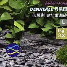 微笑的魚水族☆DENNERLE-丹尼爾【俄羅斯貝加爾湖砂L(10-30mm)1kg】原採河砂 裝飾