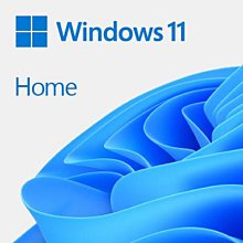 Windows 11 中文家用 USB 盒裝版 (Windows 11 Home)