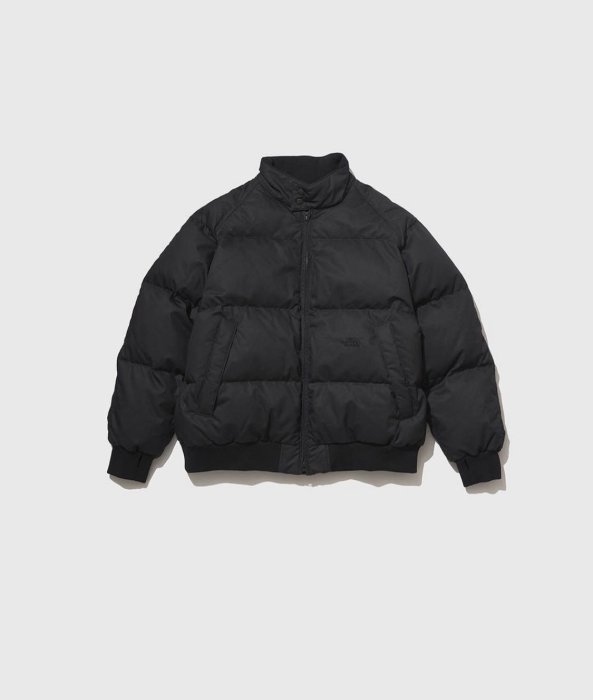 THE NORTH FACE 紫標Lightweight Twill Mountain Down Jacket 立領羽絨