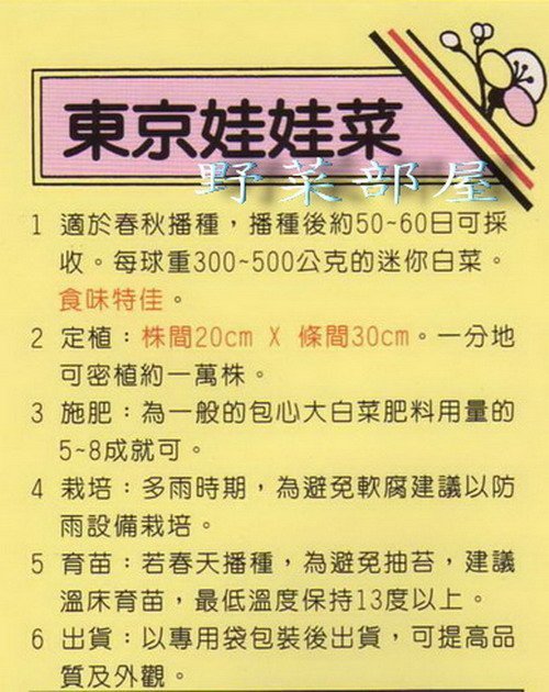 【野菜部屋~】G06 日本娃娃菜種子6公克(約1500粒) , 可愛又甜美 , 每包150元~