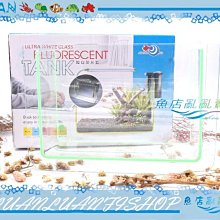 【~魚店亂亂賣~】台灣AQUA WORLD水世界-超白玻璃螢光缸35×12×24cm(螢光綠)空缸
