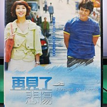 影音大批發-S16-004-正版DVD-韓劇【再見了，悲傷／共10片38集】-金烔元 朴善英 姜南吉(直購價)