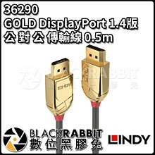 數位黑膠兔【 LINDY 林帝 36290 GOLD DisplayPort 1.4版 公 對 公 傳輸線 0.5m 】