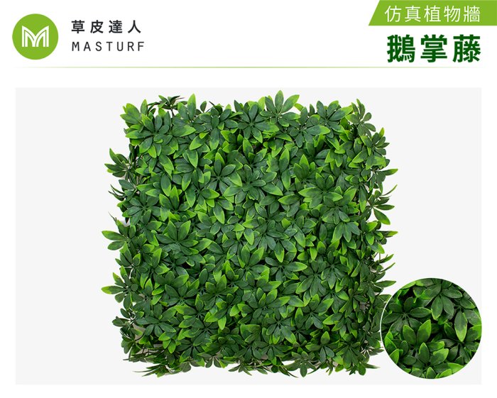 【草皮達人】鵝掌葉-大片裝 仿真植物牆（350元/片，整箱10片特價3300含運 大片50cmx50cm）