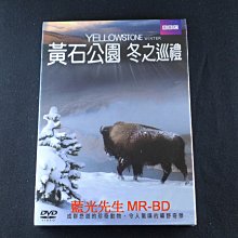 [藍光先生DVD] 黃石公園 : 冬之巡禮 Yellowstone : Winter ( 得利正版 )