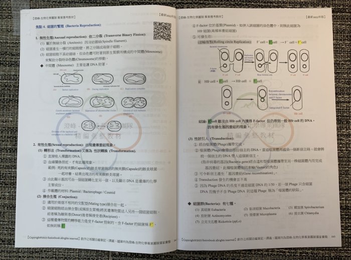 🔥【2023年最新整理-微生物免疫學全套(含全程自製彙整筆記+考古題詳解+補充資料】插大轉學考/研究所/高普考參考專用