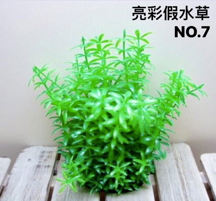 微笑的魚水族☆【亮彩假水草(L)25cm】清倉品 顏色鮮豔生動漂亮.裝飾.躲藏~