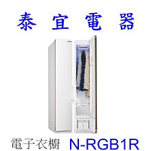 【泰宜電器】Panasonic 國際 N-RGB1R 雙重除菌健康智慧電子衣櫥【另有 E523IR】