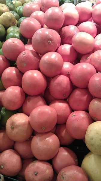 ╭☆東霖園藝☆╮水果苗( 紅寶石葡萄柚) 葡萄柚----果肉鮮紅汁多