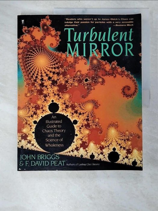 【書寶二手書T1／科學_EBC】Turbulent mirror : an illustrated guide to chaos theory…