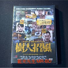 [DVD] - 樹大招風 Trivisa ( 得利公司貨 )