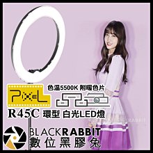 數位黑膠兔【 PIXEL 品色 R45C 環型 白光LED燈 色溫5500K 附暖色片 】 環形燈 補光燈 網紅 直播