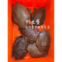 商品縮圖-1