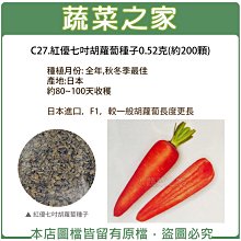 【蔬菜之家滿額免運】C27.紅優七吋胡蘿蔔種子0.52克(約200顆)(約80~100天收穫.蔬菜種子)