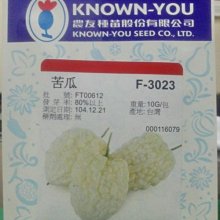 【野菜部屋~】Z02 白蘋果苦瓜種子2顆 , 農友種苗種子 , 每包30元 , 限量種子 ~