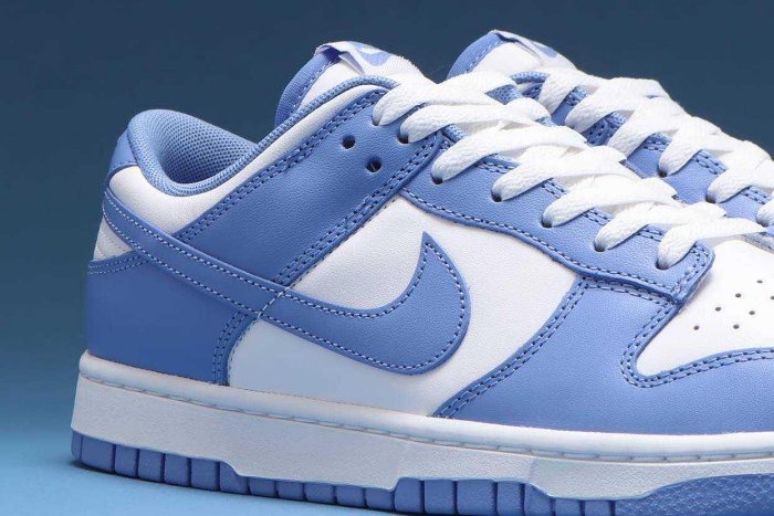 Nike Dunk Low Retro BTTYS 北卡藍白水藍DV0833-400。太陽選物社