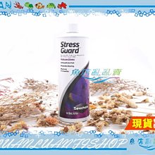 【魚店亂亂賣】西肯StressGuard傷口癒合劑500ml淡海水用N-1523美國Seachem