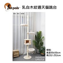 美國 Petpals 乳白木紋通天貓跳台 貓跳台 寵物用品 爬架 貓玩具