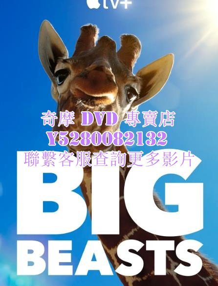 DVD 影片 專賣 2023年 巨獸/大動物大不易/Big Beasts  2023年