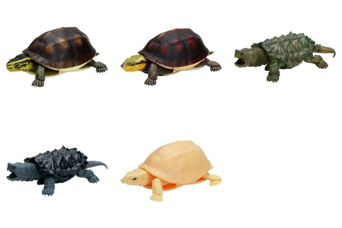 【扭蛋屋】烏龜環保扭蛋P4-食蛇龜篇《全5款》
