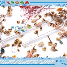 【~魚店亂亂賣~】LUANFISHOP嚴選高透明度精緻玻璃16/22mm拐杖型入水/吸水口(類ADA)