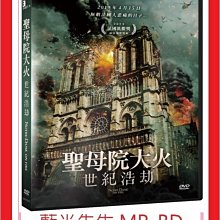 [藍光先生DVD] 聖母院大火：世紀浩劫 Notre Dame on Fire (車庫正版)