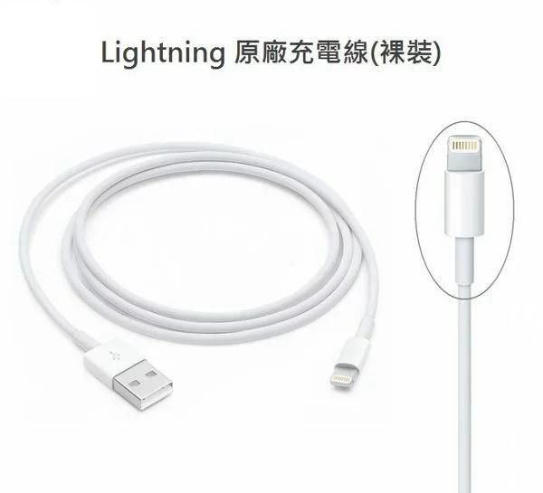 台灣蘋果公司貨 12W【原廠充電組】適用 iPhoneX 11 12 13 X 8、iPad2 3 4 5 6 充電器、充電線