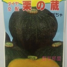【野菜部屋~】K69 北海道栗之藏南瓜種子原包裝 , 栗子南瓜 , 每包300元 , 早生品種 ~