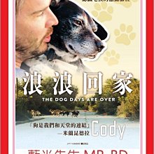 [藍光先生DVD] 浪浪回家 Cody：the dog days are over (佳映正版)