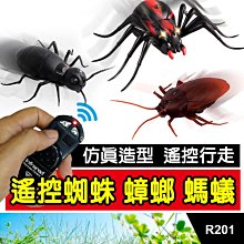 板橋現貨【紅外線遙控蟑螂/遙控蜘蛛/遙控螞蟻】電動蟑螂.震動爬行蟑螂.整人玩具.聖誕禮物.交換禮物【傻瓜批發】R201