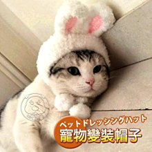 【🐱🐶培菓寵物48H出貨🐰🐹】DYY》卡哇伊變裝兔帽 特價199元(蝦)