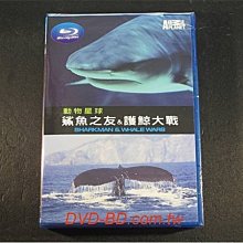 [藍光BD] - 動物星球 : 鯊魚之友 ＆ 護鯨大戰 Sharkman ＆ Whale Wars ( 新動正版 )