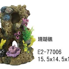 微笑的魚水族☆【珊瑚礁】15.5x14.5x18.7cm(E-2-77006 )