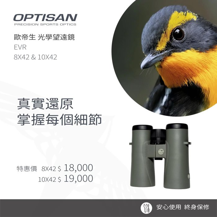 ＊兆華國際＊OPTISAN 歐帝生光電 EVR 10X42 ED 超低色散 防水雙筒 望遠鏡 賞鳥 望遠 台灣品牌
