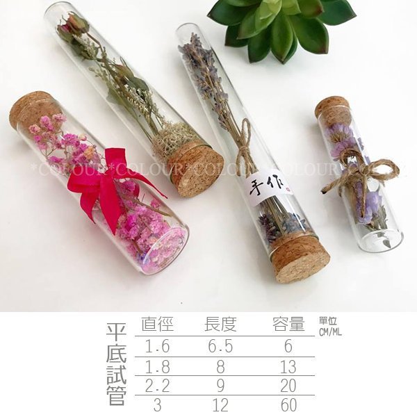 DIY乾燥花瓶器具 1.6X6.5CM 平底軟木塞試管空瓶 厚玻璃試管 乾燥花管/聞香管※COLOUR歐洲生活家居 ※