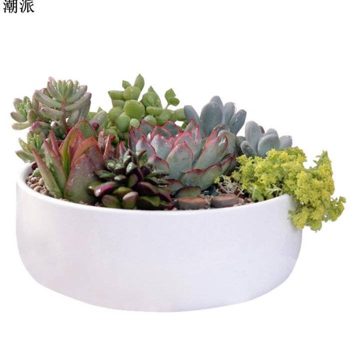 陶瓷白色圓形花器植物小花盆辦公桌擺設白瓷長方形盆器小花盆花器植物花