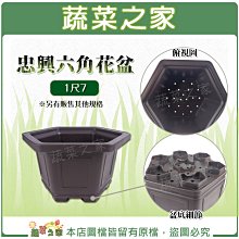 【蔬菜之家滿額免運】忠興六角花盆 1尺7(加厚材質) ※不適用郵寄掛號與超商配送※