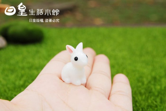 【日皇二館】zakka 小兔子 拍攝道具 微景觀 造景 多肉盆栽 裝飾 DIY 微景觀 公仔 擺飾 小白兔 療癒