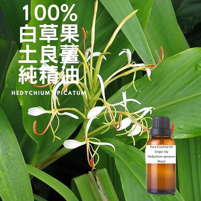 100%白草果 土良薑 純精油Gingerlily-Pure Essential Oil-150ml